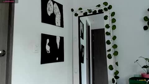 Selyn online show from February 13, 2:24 pm