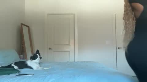 Snapshot of serenitybee chatting on November 17, 5:52 pm Serenity Bee online show from November 17, 5:52 pm