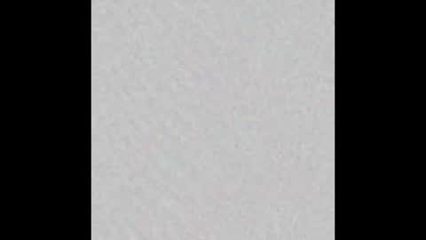 Rosa  online show from March 13, 12:12 pm