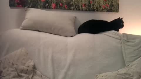 Snapshot of sexurbation chatting on January 1, 10:46 pm Sexurbation online show from January 1, 10:46 pm