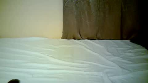 Snapshot of sexxy_shayla chatting on November 18, 7:29 pm sexxy_shayla online show from November 18, 7:29 pm