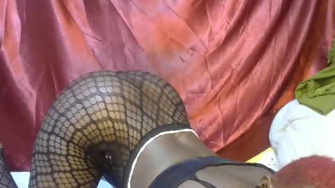 triza online show from September 21, 6:15 am