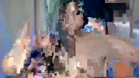 ALFREA online show from February 17, 7:47 am