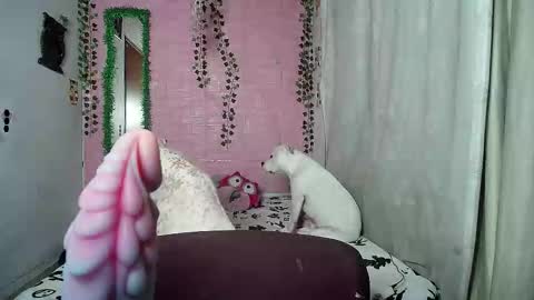 sexy lolas online show from February 20, 2:19 am