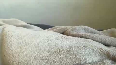 ALAYA  online show from November 29, 11:13 am