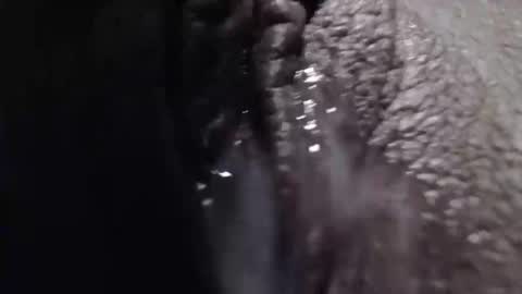 sexyjustin202 online show from February 26, 1:53 am