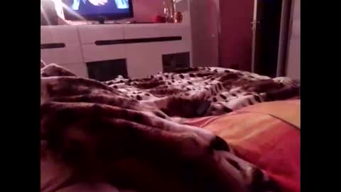 Snapshot of sexypairjuly chatting on November 4, 11:15 pm sexypairjuly online show from November 4, 11:15 pm