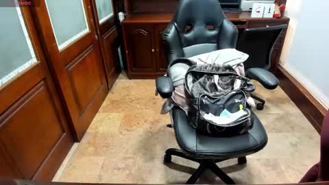 R A C H E L online show from November 10, 12:04 pm