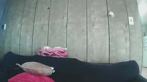 Snapshot of sexystripper69 chatting on February 19, 10:09 pm sexystripper69 online show from February 19, 10:09 pm