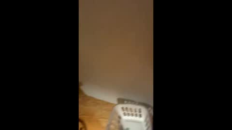 Smooth bi guy online show from February 11, 7:02 am