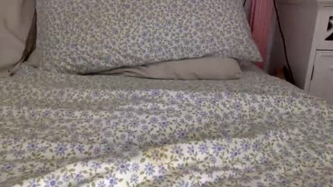 Snapshot of shavednsw chatting on March 28, 8:58 am shavednsw online show from March 28, 8:58 am