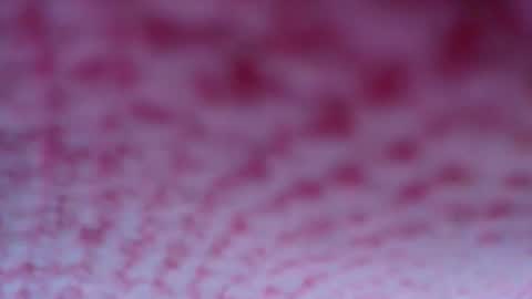 Snapshot of shelsyzevee_ chatting on October 23, 4:50 pm shelsyzevee_ online show from October 23, 4:50 pm