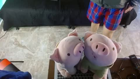  .. shinobi .. online show from January 24, 3:55 pm