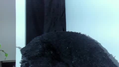 Snapshot of shooter_boy_ chatting on July 20, 3:54 am Shooter online show from July 20, 3:54 am
