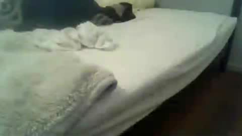 Snapshot of showherenow chatting on July 29, 8:34 am showherenow online show from July 29, 8:34 am
