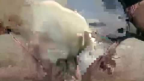 Snapshot of showsme chatting on October 28, 10:52 am showsme online show from October 28, 10:52 am