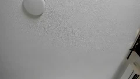 Snapshot of sienna_glow chatting on August 3, 12:43 pm sienna_glow online show from August 3, 12:43 pm