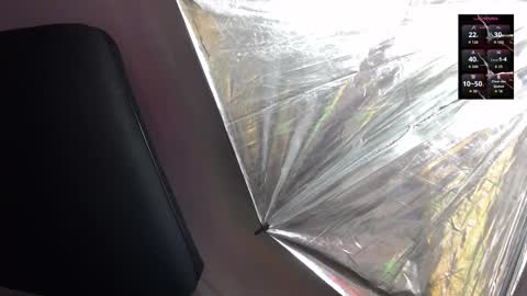 Sienna online show from February 5, 12:10 pm