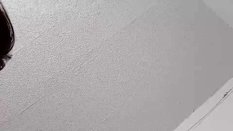 Bush with a class 3 rating online show from February 22, 7:56 pm