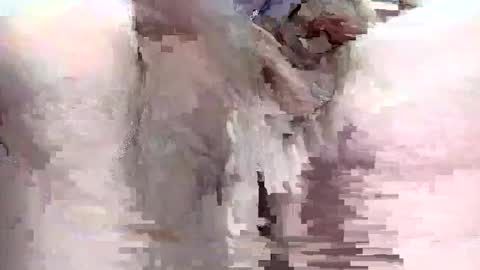 Snapshot of sigmaelixer chatting on September 29, 9:08 pm sigmaelixer online show from September 29, 9:08 pm