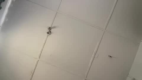 silkyandmasterr online show from March 8, 8:51 am