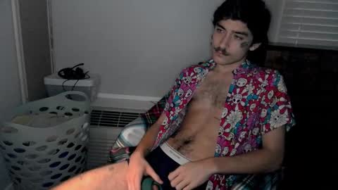 Snapshot of silly_cybin chatting on January 17, 11:17 am cybin online show from January 17, 11:17 am