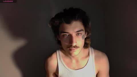 Snapshot of silly_cybin chatting on November 22, 7:51 am cybin online show from November 22, 7:51 am