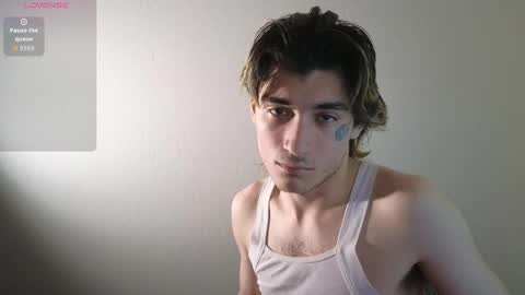 Snapshot of silly_cybin chatting on December 3, 12:25 pm cybin online show from December 3, 12:25 pm