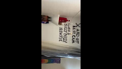 Silly Dilly Newfie online show from June 22, 4:26 pm
