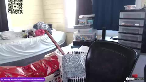 Snapshot of silver_willow chatting on December 16, 4:49 pm Willow online show from December 16, 4:49 pm