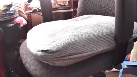 Snapshot of silversenior chatting on April 17, 7:06 pm Silver online show from April 17, 7:06 pm