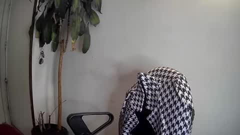 Snapshot of silviecollins chatting on January 7, 3:46 am Silvie online show from January 7, 3:46 am