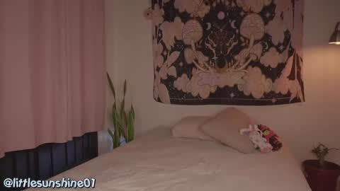 Little Sunshine online show from December 9, 9:16 pm