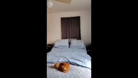 simplysarah1225 online show from February 17, 4:24 pm