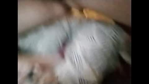 Snapshot of sinbook611 chatting on October 23, 10:58 am sinbook611 online show from October 23, 10:58 am