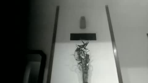 sioque376201 online show from March 10, 11:43 pm