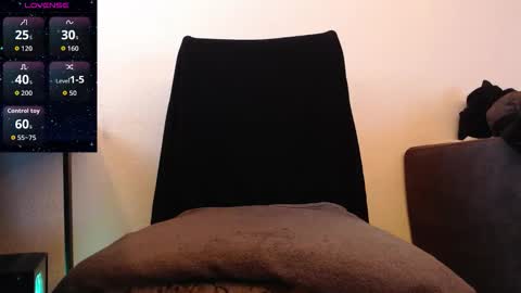 Snapshot of sir_stroke_a_lot_ chatting on November 26, 2:23 am Sebastian online show from November 26, 2:23 am