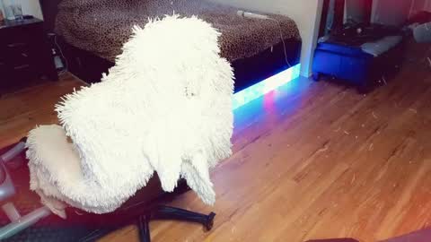 Ashleigh Mak online show from April 21, 11:51 pm