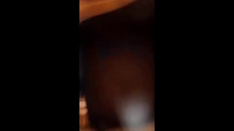 sissybottomcock online show from December 4, 6:55 am