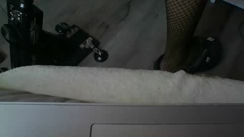 Snapshot of sissymia1234 chatting on December 17, 3:23 am sissymia1234 online show from December 17, 3:23 am