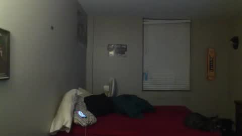 Snapshot of skater_v2 chatting on November 29, 10:35 pm Christopher online show from November 29, 10:35 pm