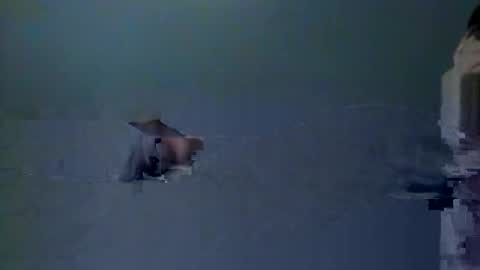 skeeter4fun73 online show from December 20, 1:40 pm