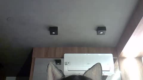 skinnykittencam online show from September 28, 5:57 am