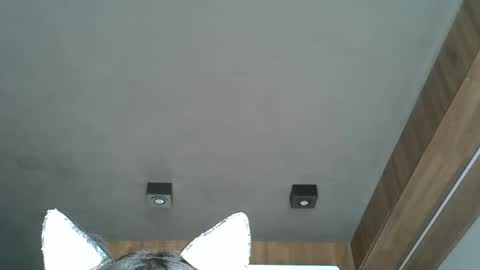 skinnykittencam online show from October 7, 4:59 pm