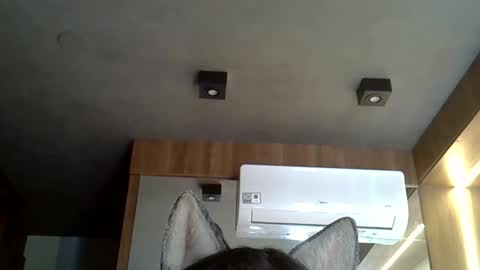 skinnykittencam online show from October 24, 6:59 pm