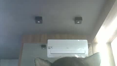 skinnykittencam online show from January 15, 3:55 am