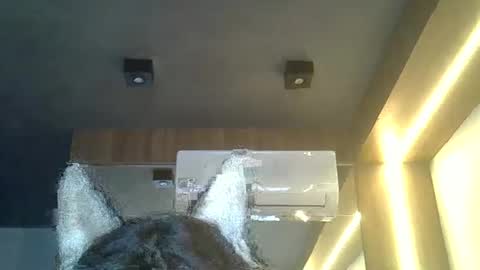 skinnykittencam online show from February 8, 8:23 pm