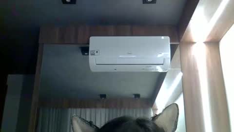 skinnykittencam online show from February 11, 2:49 am