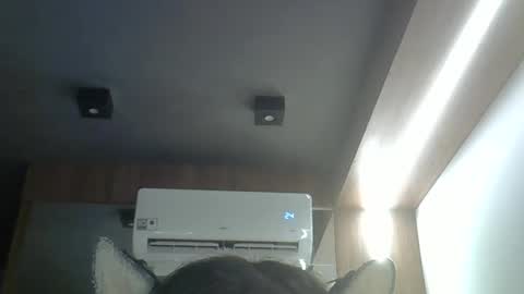 skinnykittencam online show from April 8, 12:38 pm