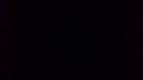 Skippy online show from February 2, 11:40 am